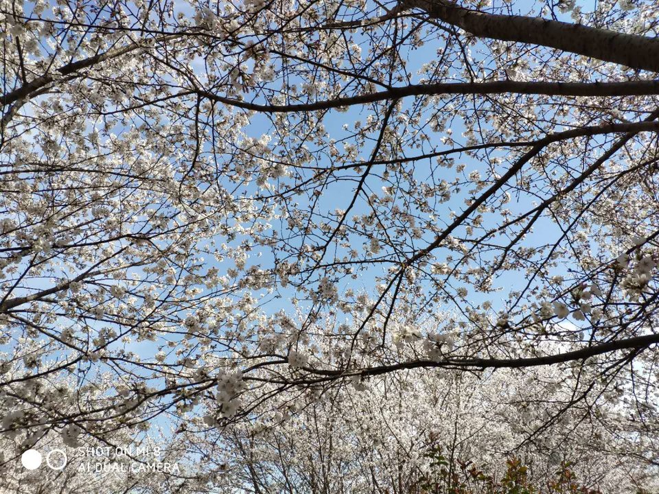 LU_GJyokrNdhHMMh7qEANMfyNjO6JAmhCH4jwWTVnvXKDeg1hBjejKYwW1trXQzu