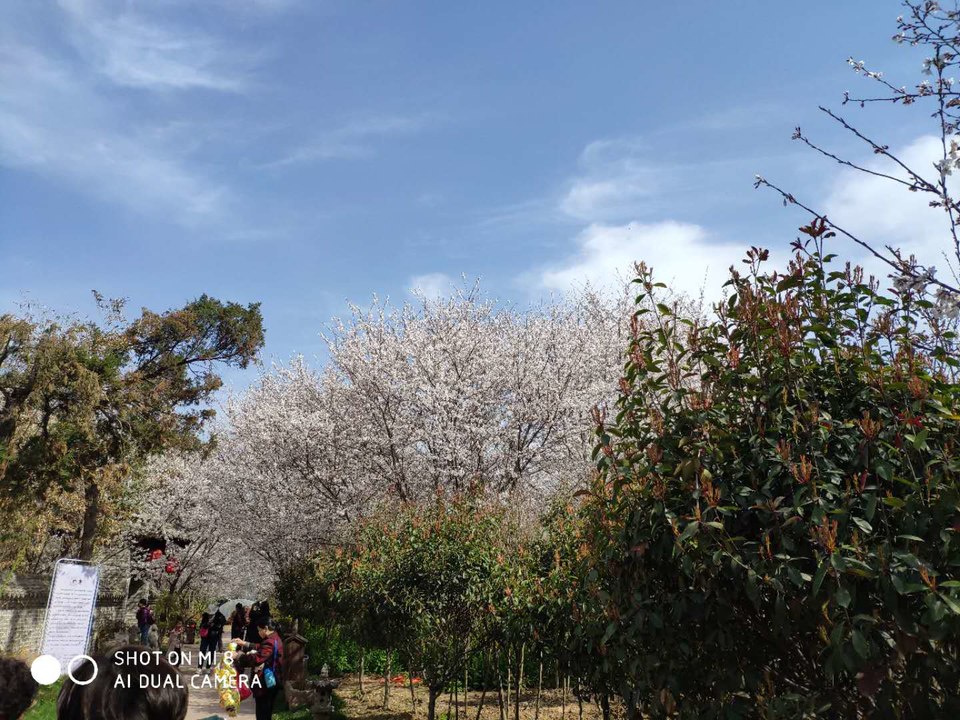 PnfiCNunVfqwu3kZgC9XNKZMe2b_Nrv6KecDs3e2kd7cN91wQv6qOO6Uh0-VDcDO