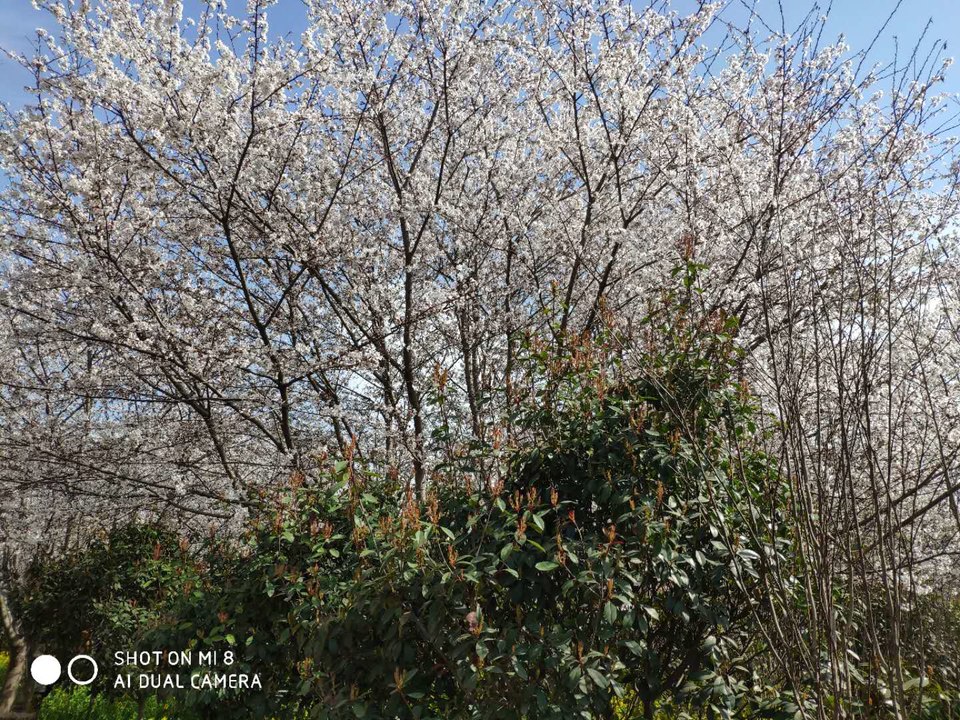 xFFRt99ZW1xVjwRZIiz0aMHwGp4ZUt9jdPxWzIcSDGe01AJFU03XqiCQhJwMXpEI