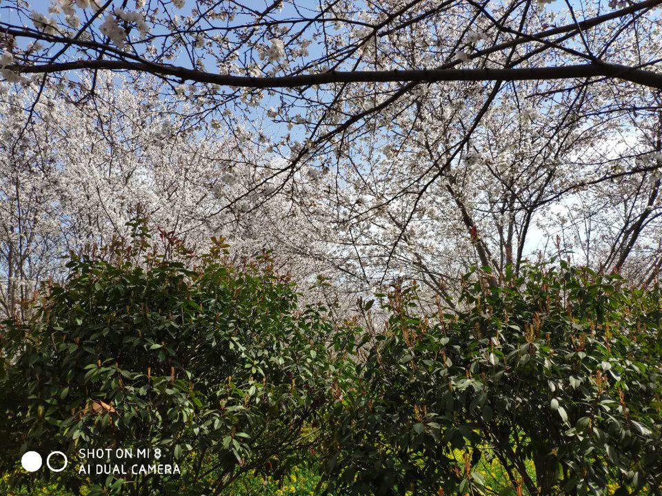 Duw5QGwQrJhBRQDXP8KEzgh0JaaHx1WCCAYCMpCi0pZgvjgEnlzM3K5WGA-6Bgbj