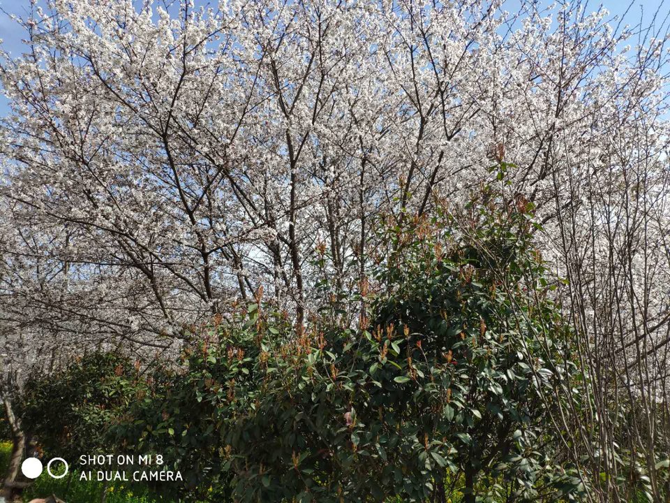 _JhjjS-RkqpM6oF4SoqYg-VgeNn1T6DRSkptZbFKVqGu-SvSkRxs-DW-B_oWzaXX