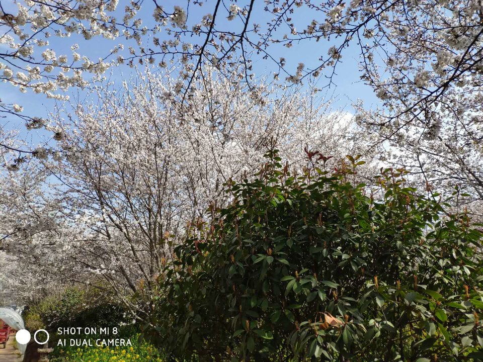 NJTTD3DRl54gEJcXdXJxHmQj8H4hNgfKt-tKlxXUIu4k9erQUxzCkoTJHaNSS0hr