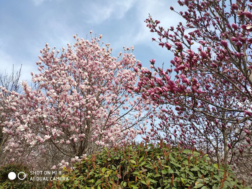 rw5i36Hlr-tAhYHaK3fxUYfFkJxQJRhBQs42yqfBSQ2abgo5HA6h2L6qD8AWoeSM