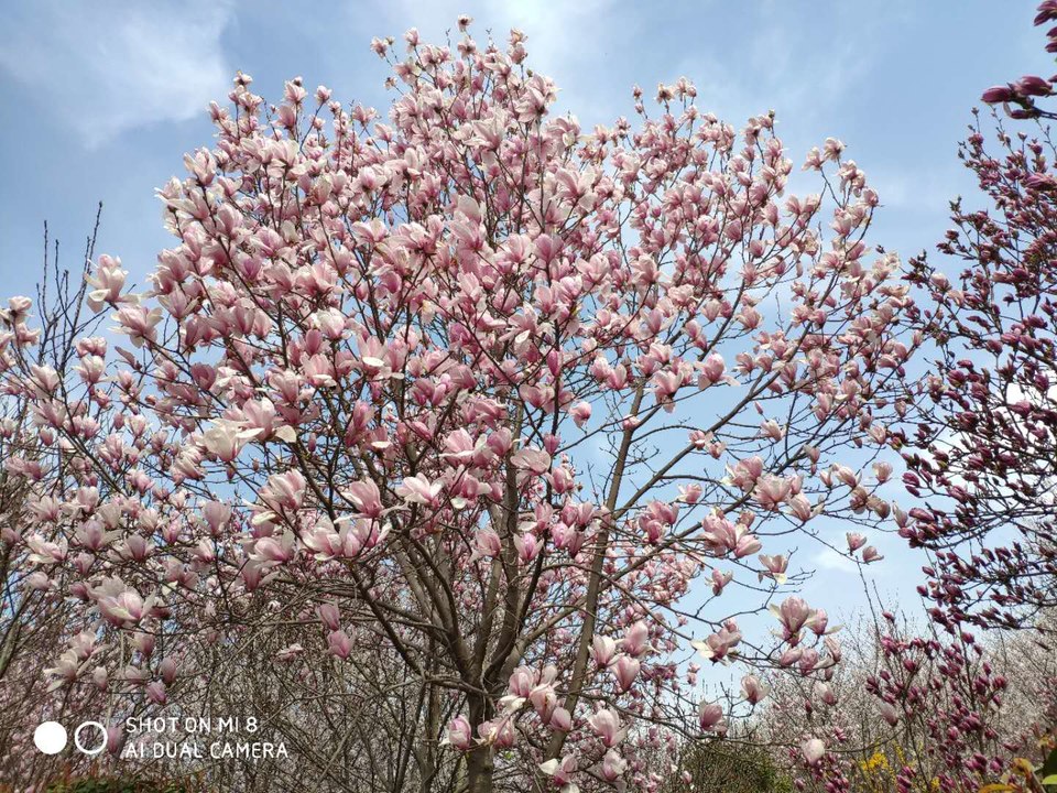 y4rjVDNwaaw94DaFbaAar_yHwF2HsngkzplNfwEuTQePrynrRaY6McUnrQ3TYHXo