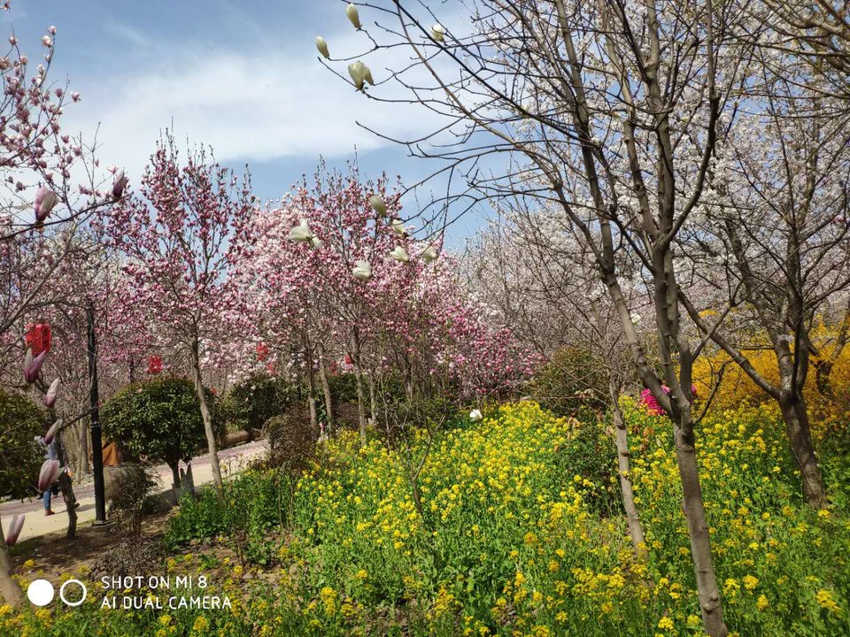 Y7nsYJPS7uMKpgNvh2rf_tYEg2ya36d8C0KetVH6BLucM4Zk69a0Gy7bLpE6Chex