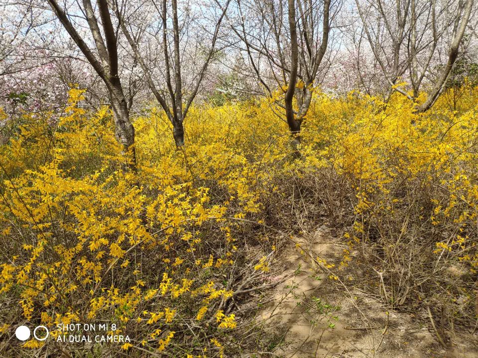 NmyxVEAmuD72i1_3XS6WLeWXvYLxK9eNEs53-qKct14NmKOdglrAfKhau3llxEYJ