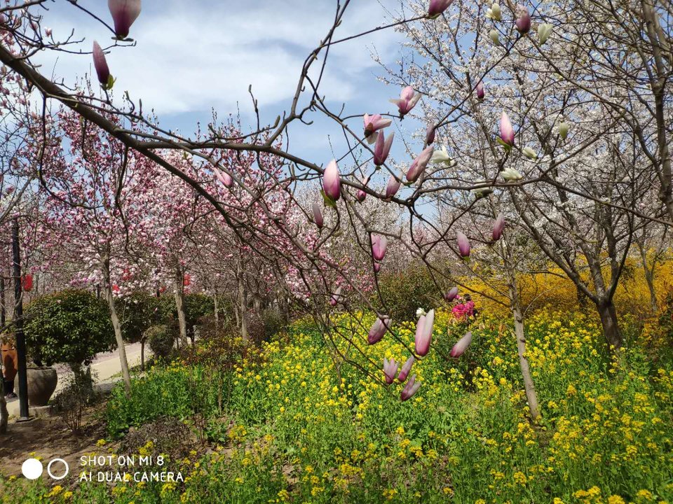 UKDkJ8RkNtuh0XbeTyH6iLSxb7DyY0lUK0d6lfSRCiy3kK5OzmKj2_5oofEhQkrH