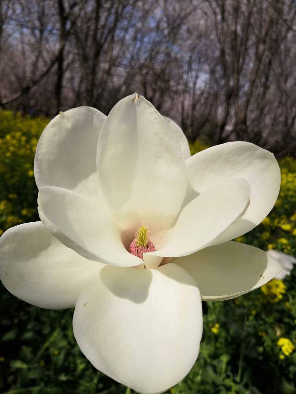 BgODGvnBvAISfDMDsnY7da4MUCz_P5JHX1cpQAaRWeZ97sksp6moHi0IRGMtiv3p