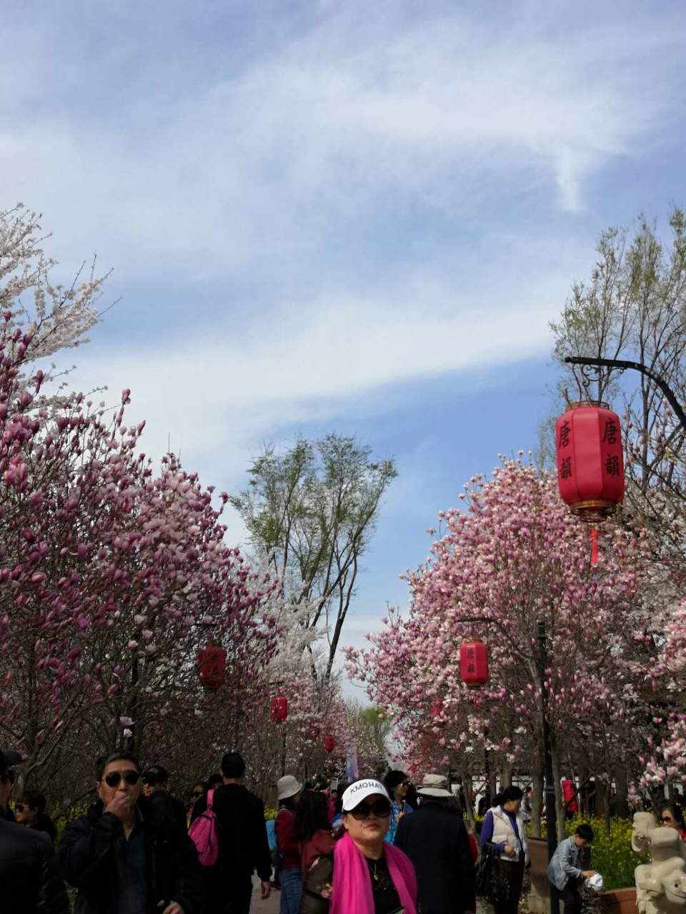 8SG7Dyo9mFSATI7tQufucVIdVVFV8knfbAKlh1L2Slq3EdXtRuBVrV8x1mx31igx