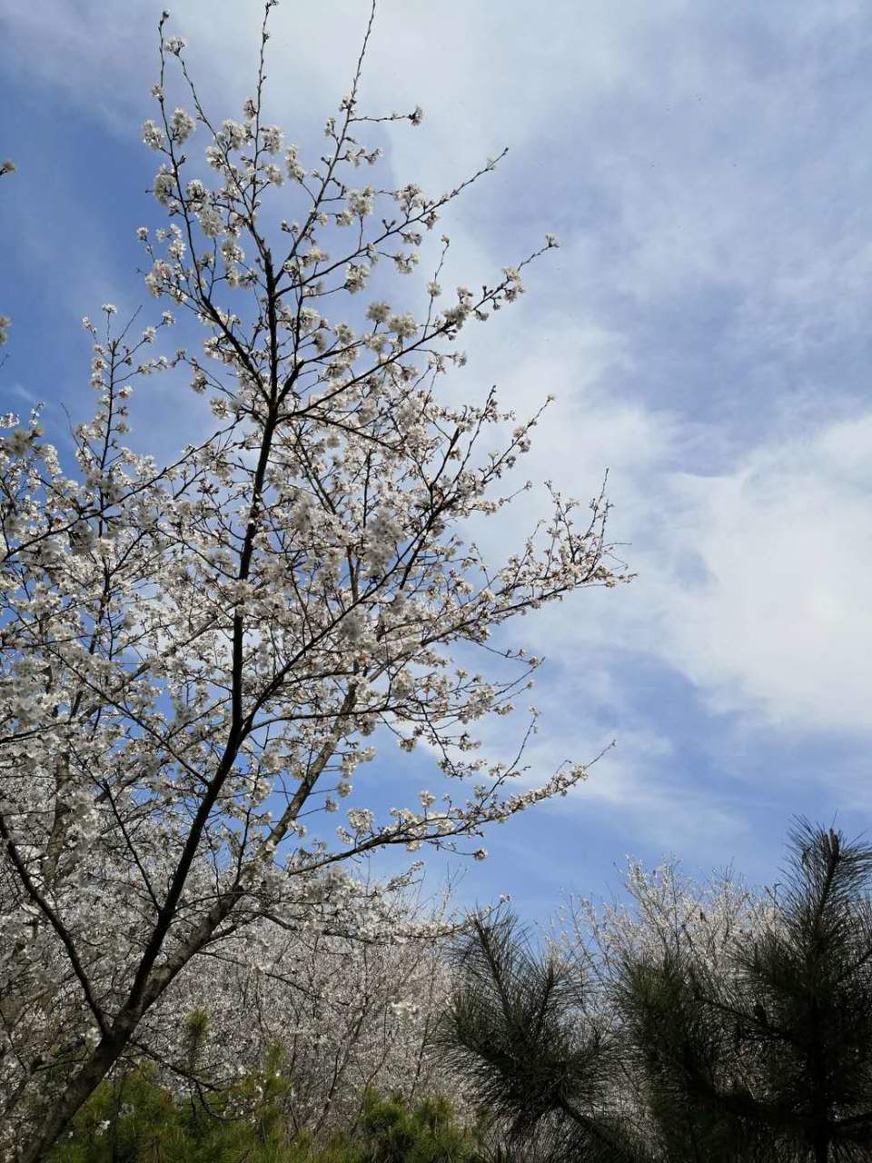 zwwCiFnLmfsyF13BV16-6oxZI7YxqCxaMbk3zW5Dw6KmhjoUIx3Q3Qybquoxa-NX