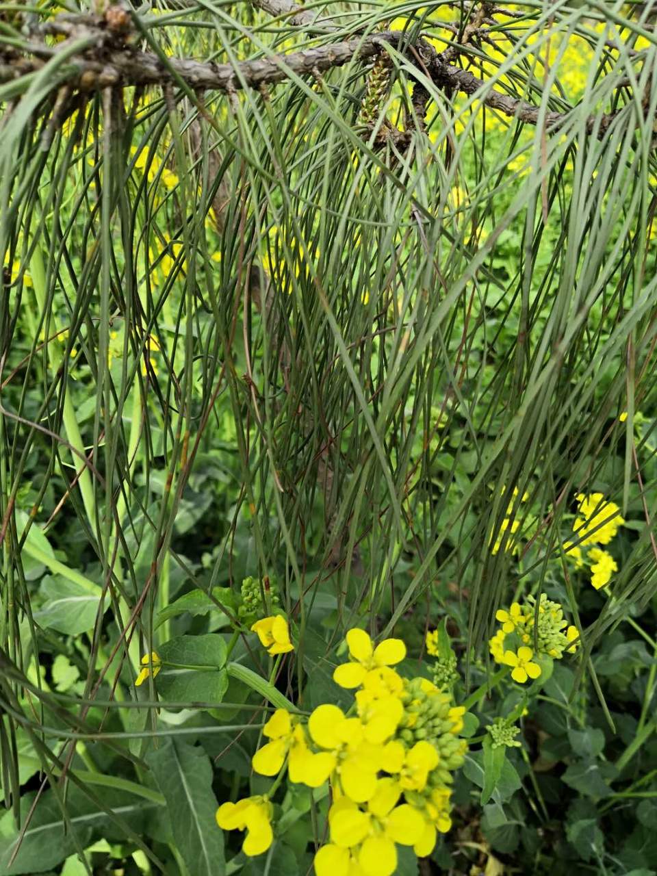 btcJKFkW1imRckdGjGlq1nrAO2wx2pbF6Wam5TimGjN0_ngZPhiohP8qOQd--ch3