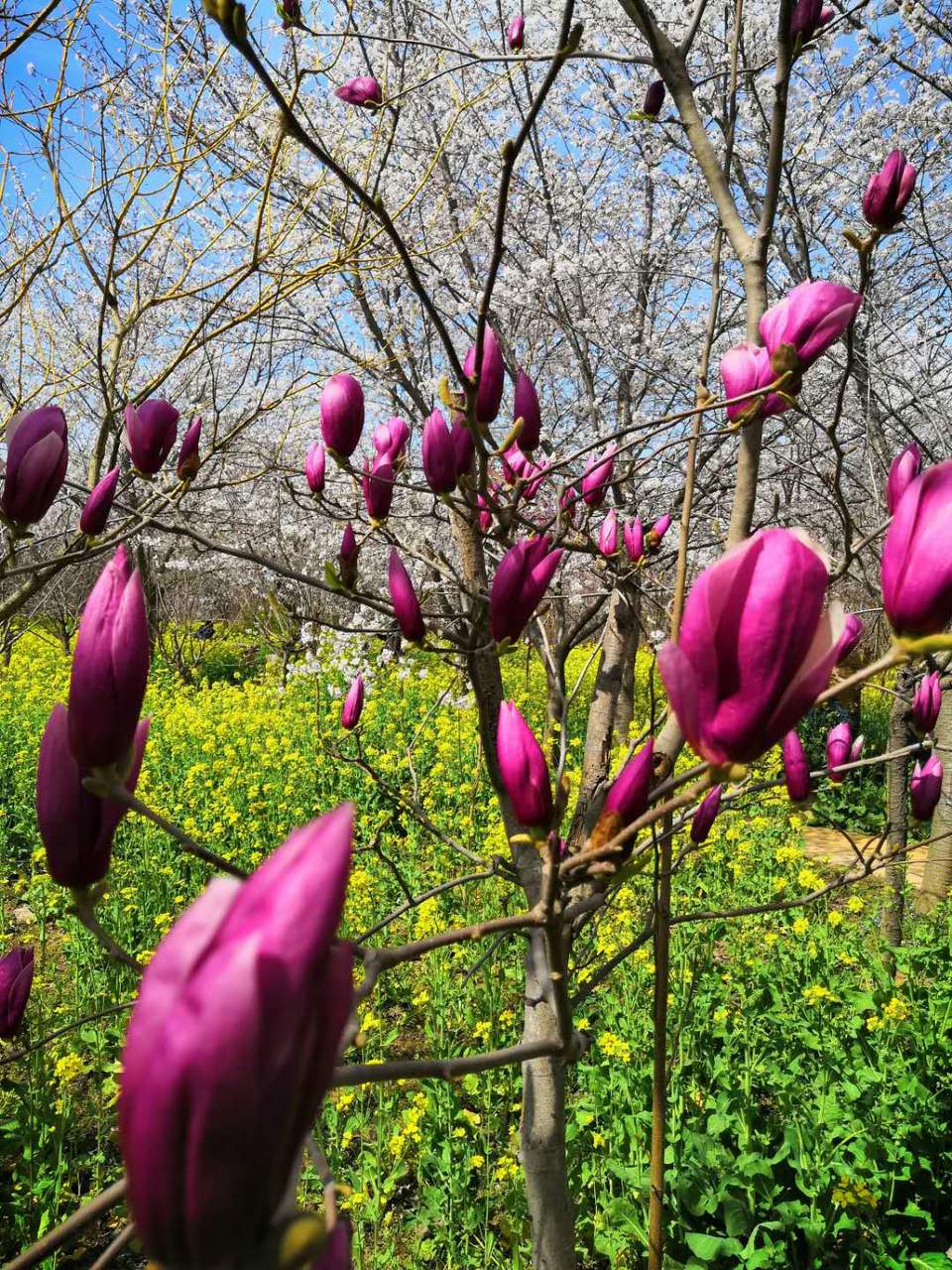 oOUe3VWms9KtMhGxMqGg65W_agQutG0xN5puz3mzxeWkWUzzS5dBVqFauBc4FfPg