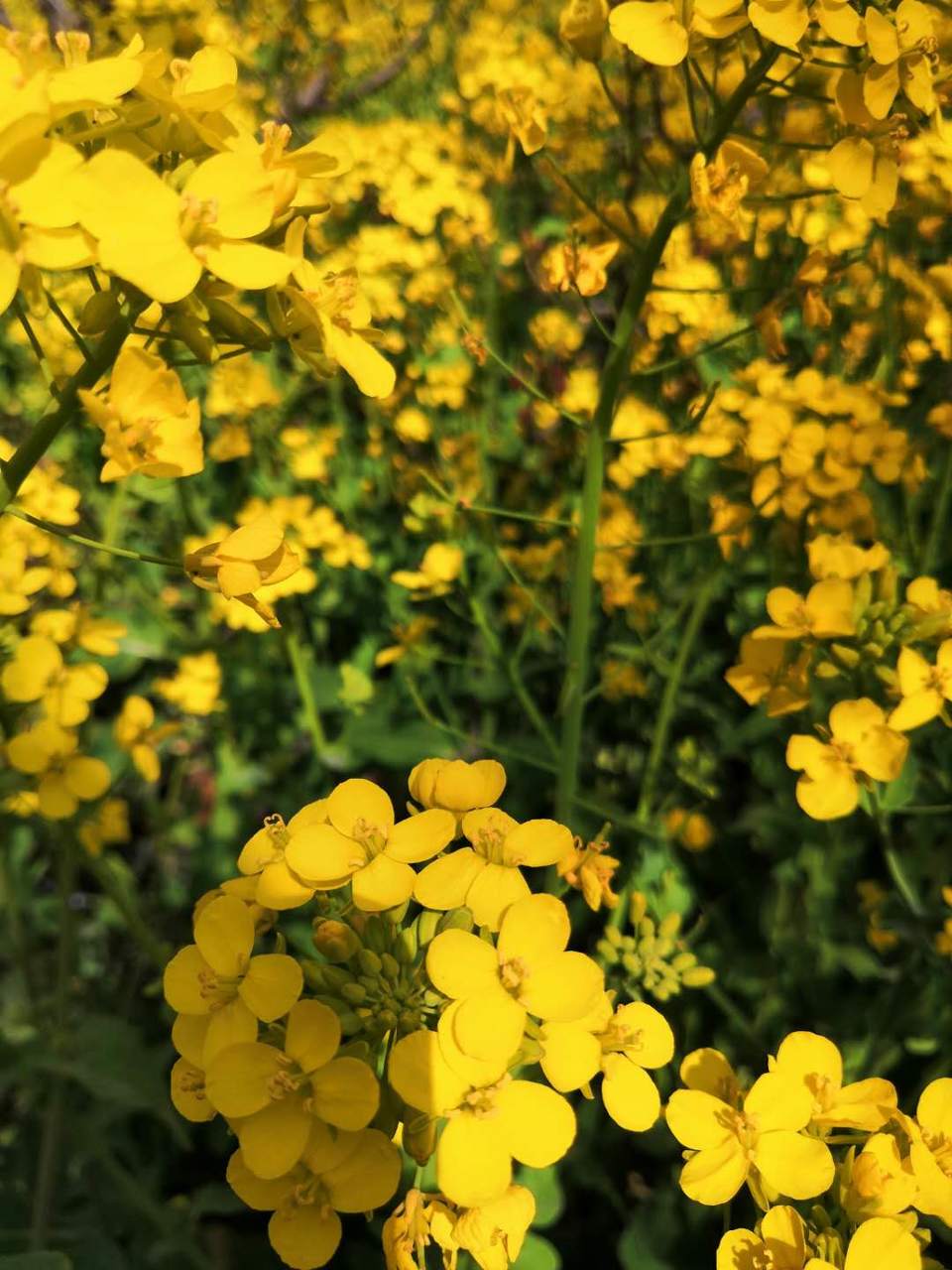 oVOxsfxfSxz1m0qrX7B8Fd9z18WWnyhmQG7LwSB5XEb5VTF1Zg64RJs6EXXT_jNV