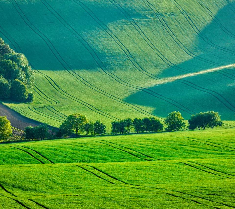 4p6Evxamdpx02ZeEn7VBsWS0qMNg_PokrWtlug1AtEGFSUtP4BWQ9HL3EguRbmf2