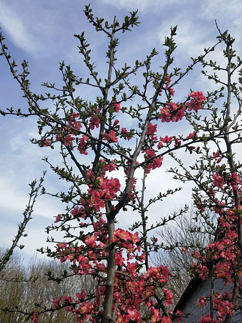 ppbimNTouSyix61h5f6jRwUwKvsTktS4cXU4beASv-qUSEuhAZGEh7mmGUTmcV7x