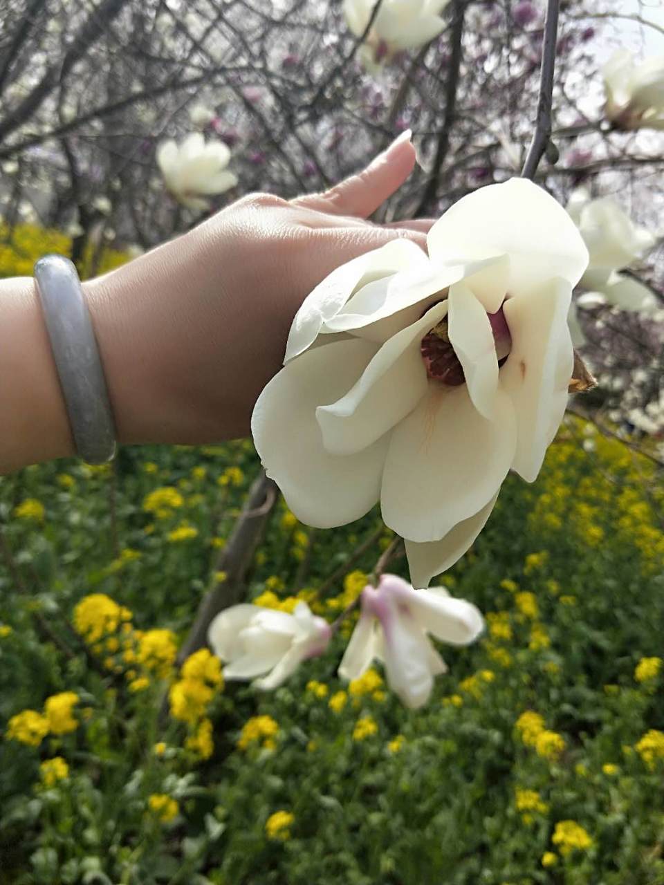 B2uCZu1SuTUw-9VH0zVeSCKO8D-6JBPbwH3nU6qQsa7MQF4TGeNQCN8uzMGyCxDI