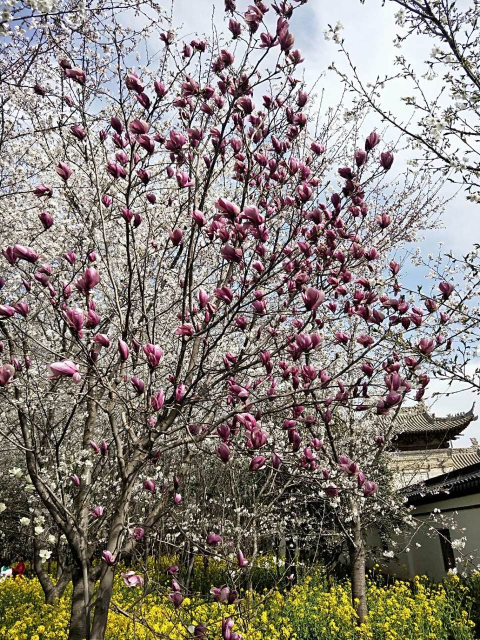 wikPtWeOyvoh5XF77r22UOkeR6n21XNX4zFXT2EGdNXVt93HNGTYj552Ea4OgIs8