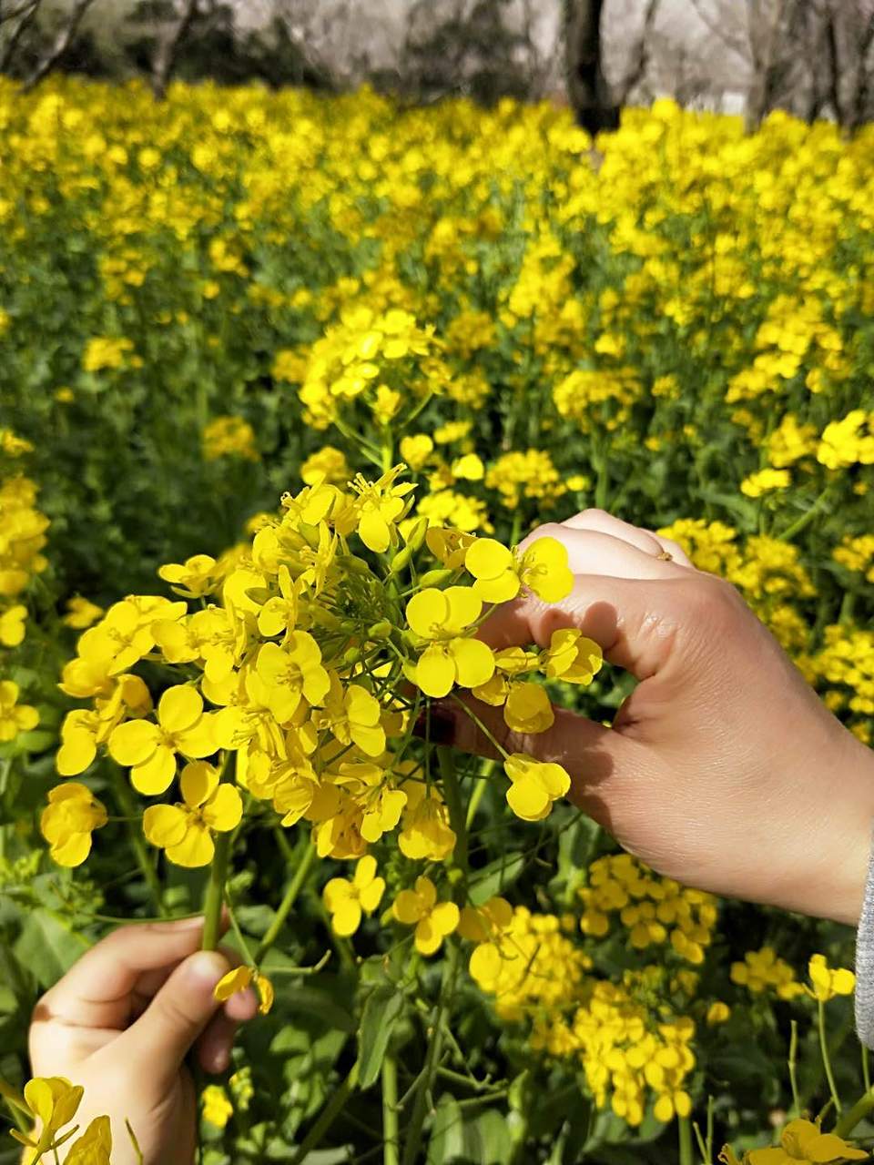 8WYjlRbsao037wjKuwehSpn92bD_gmkCHHXRC301L0GgsH5FyMtD3FlGfXGtkF5M