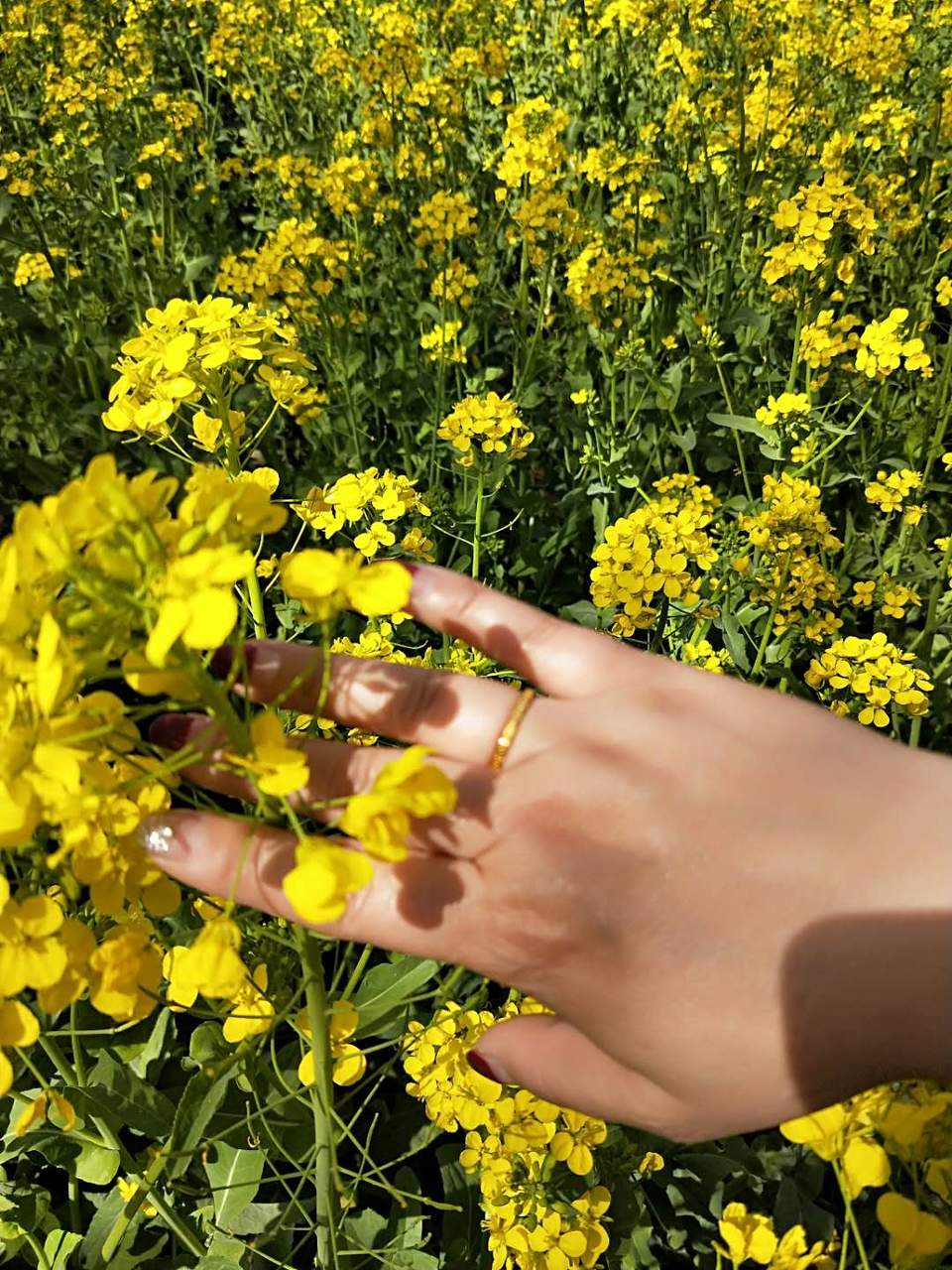 tjWibmCOoadhlj_vZ6nPnuqhvFrBQkTrOwII3RaNpfb9SOMzd8nVxWnT8i1G5nPq