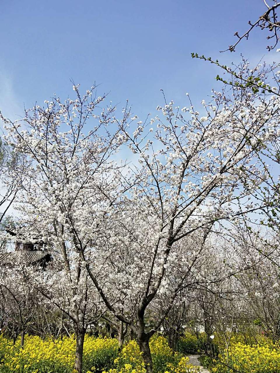 ssYDQcMgf6sUoOvyyFXBcQCBs1yJq_WIalt06uz7v2BlUVma8cYJbK2CkznMSKc8