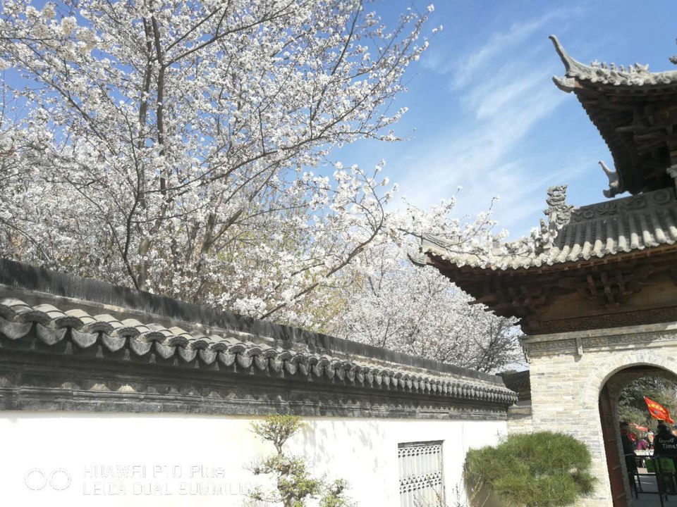 U0VJR4VVsanAWtWjLm_czUt7xj2vQpbr4vEoAYe6WfMUZz2NpSjuAoWlMzKIGOaS