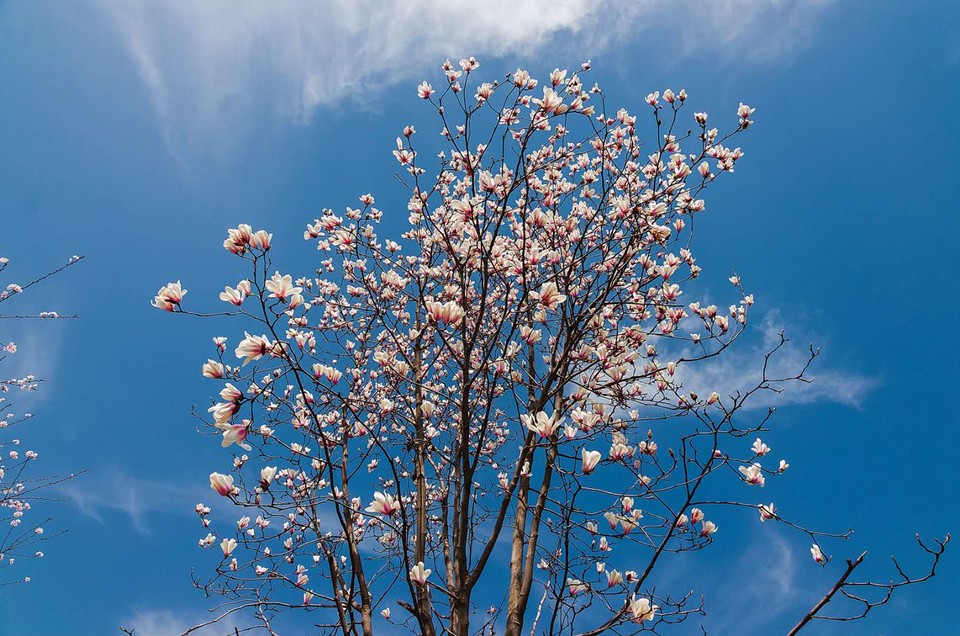 McaWZJbJvqDU7on_idEaaDDvoo5jWavLn8XNjUxoSpoS5E0SxWdczwQwR2lmQxEs