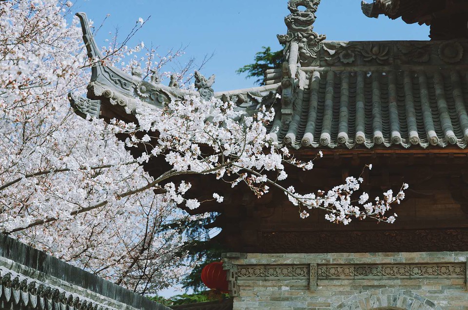 JSW-8Pjw8BLcaM_8PKbTKMMaPJvlHjV9QYczb9_FD5QzAf-cTMCJrHserNWOmARl