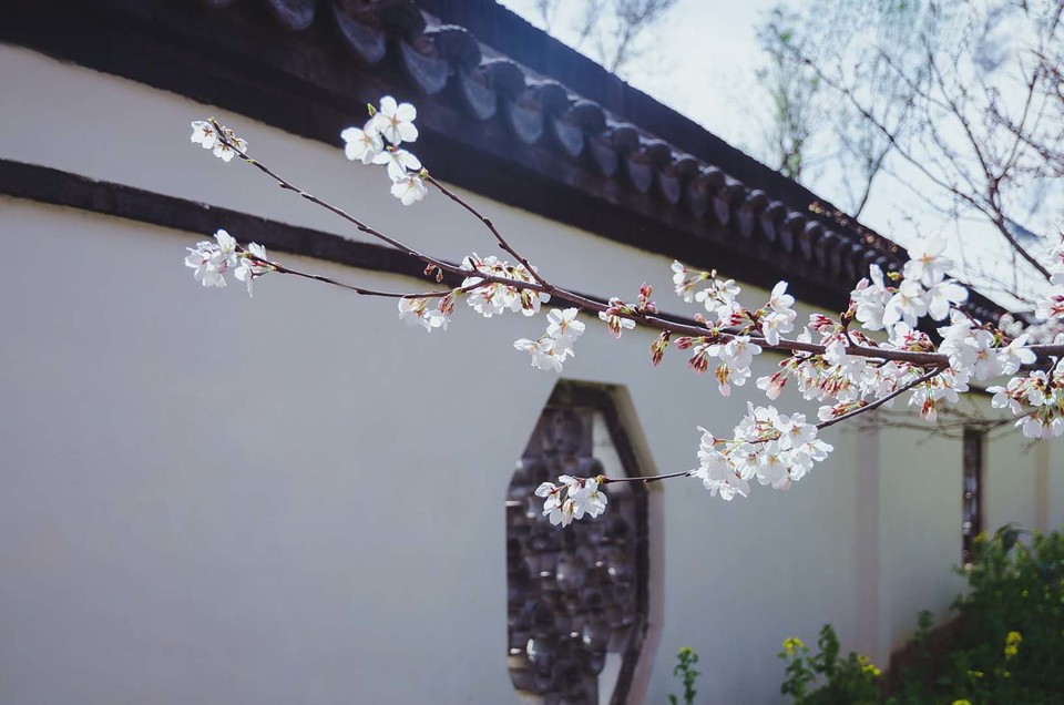 UPsyOtsaBHagcmptwku3Pce-bEVXAn6q-NibC1QVrMgwqvD_fRuQjBclD7TB7Kpe