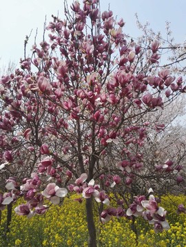 7vF5XN0UGt_aBIjOu3vfNwZZsx6ChsG0h-vQDGZJWKFqxvjeGx1qj-CADlo3uYZS