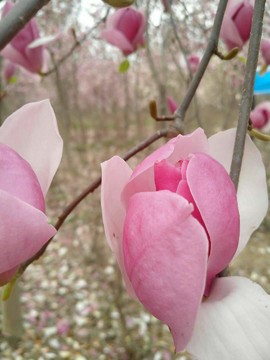 4JurxFfVFstRvcRxxOtPnLhndIfiEpgWDhL5DCF4Poo_w7l0ipRNCSWxXIT07F4v