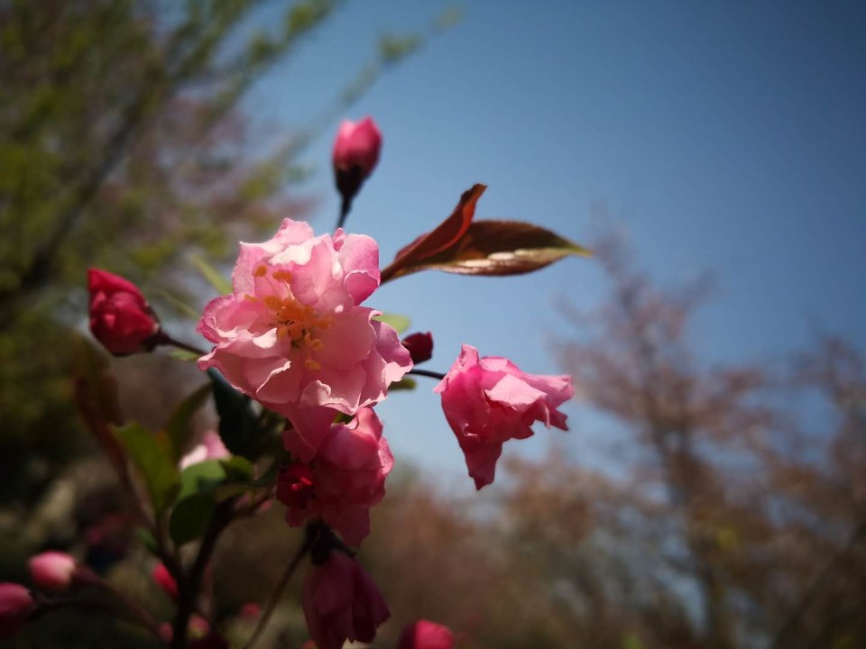 _PHrM0U0_jfkzfwFgrVdbWjuIuhtWL6QnSfa_5tl4qYMpEZhNWNW7NSRgTl0uGiQ