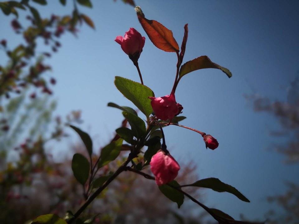 TXuwlRkowDj2c1_6pQx89LW4VGEFngsuUuAQSr5ZkUjcIAYf7VvnuHlKjux4FDLX