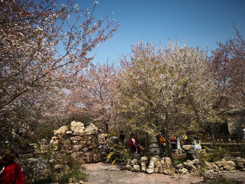 FZ9sCgN0T_nRsOGTJB8Ss1EFi7GzTWxXOj9rf06evan4LCF41IcDbOwpJuJ84dpi