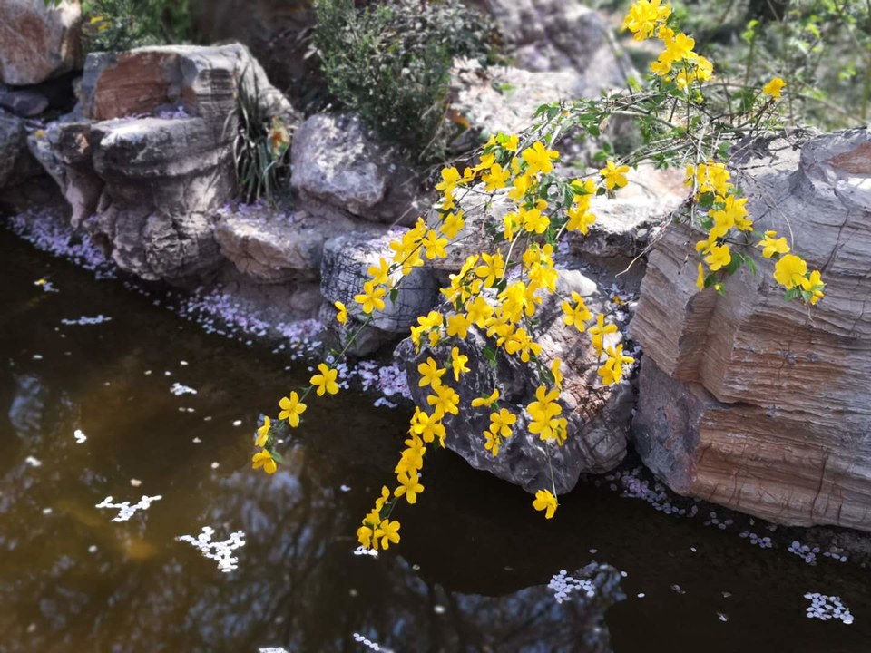 VETO87jy2Q1FENRB6wCRjxo9J_OXuf8ZtKtHwJlKYiZZ-zyhoV1IWG5bQ_Do_4Uy