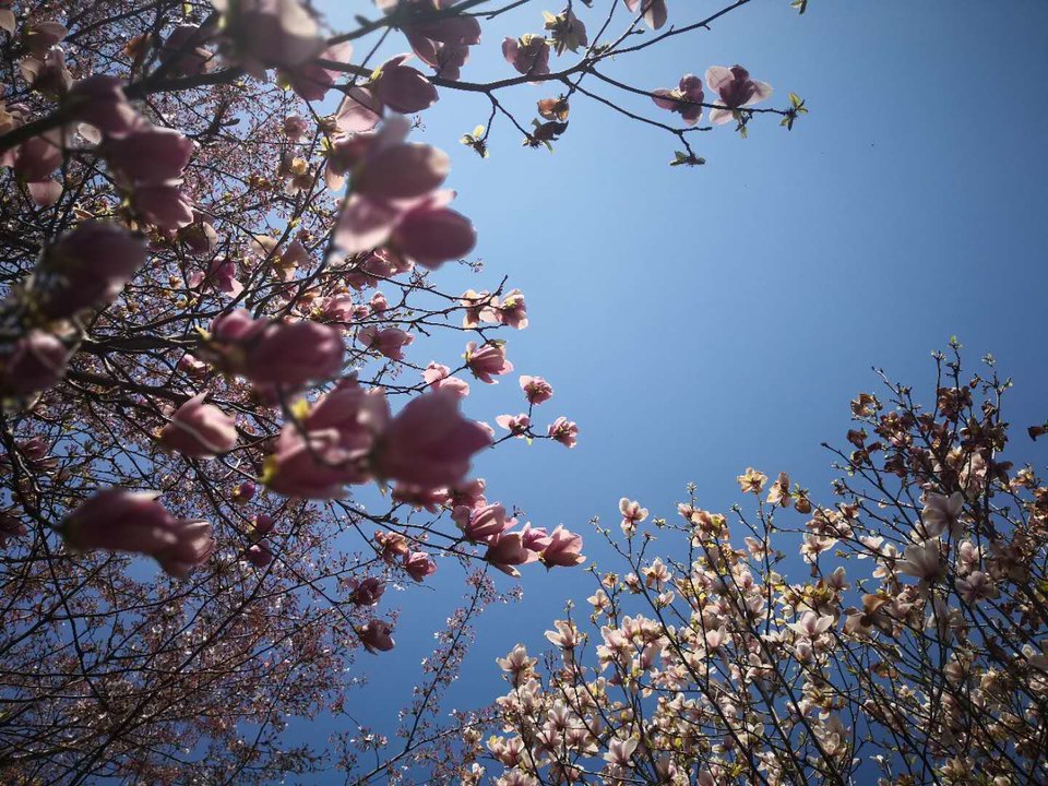 3VtdhTO5sGhOkEXe9Pv2VZFgqsYpSt9_MnwvYas7qoiHkqVqx6KvgPkKebOeUpNc