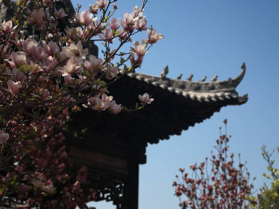 2inNr9v4zbxJBMlJdi6jOzgJPQWbJgiLSs-D0de0rm3ydffx5g6NkIGmTZy302t_