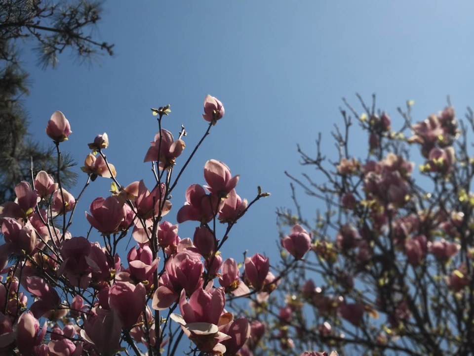 XCSile2jwUe6tHl-2eO0lMWe52WYhhFhumGvgb-volMAo2xRXxVB32BMMwKr3Rhx