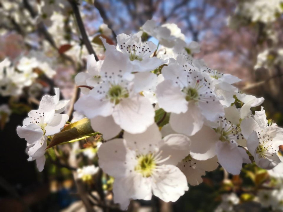 maR3Ld23sOaYvfxJKa5HB2r5VSM02KI3A654U3pAdCVzDZ1KmxLQMcA3wXTPl1E2