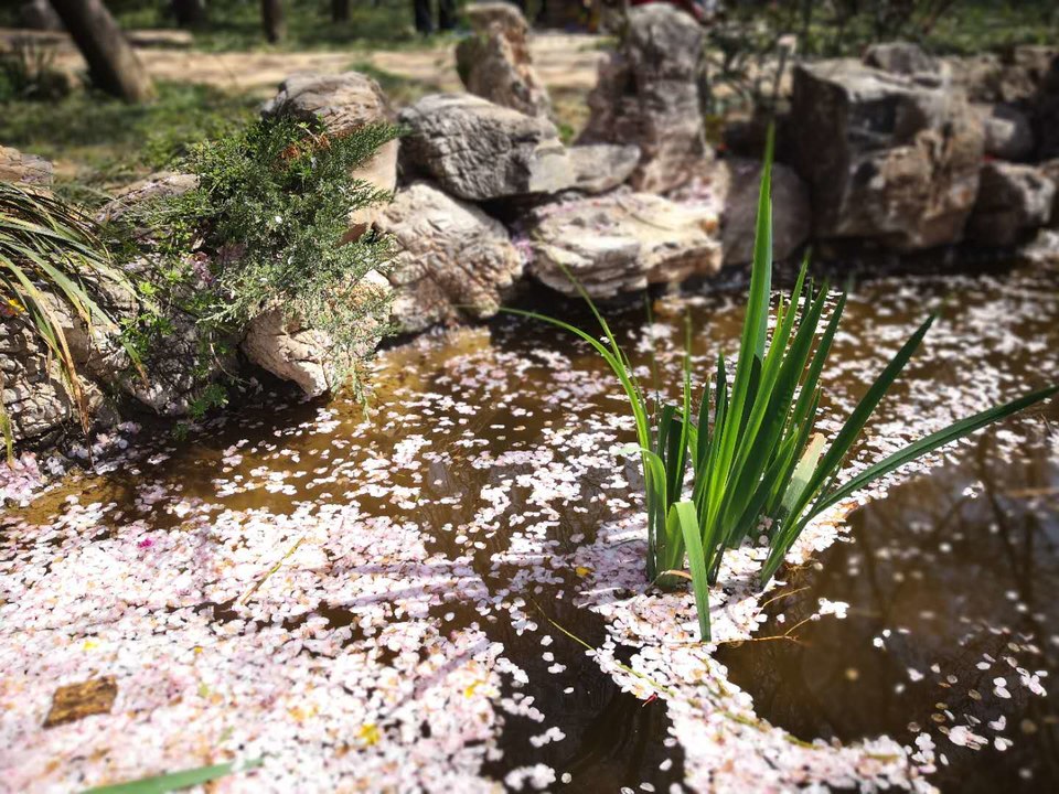 KEU5nMHZzl295zTHcNTJE4KoXBJtE-wfQUYwTfvvzYSMe9yROrsDvF347qH21_M-