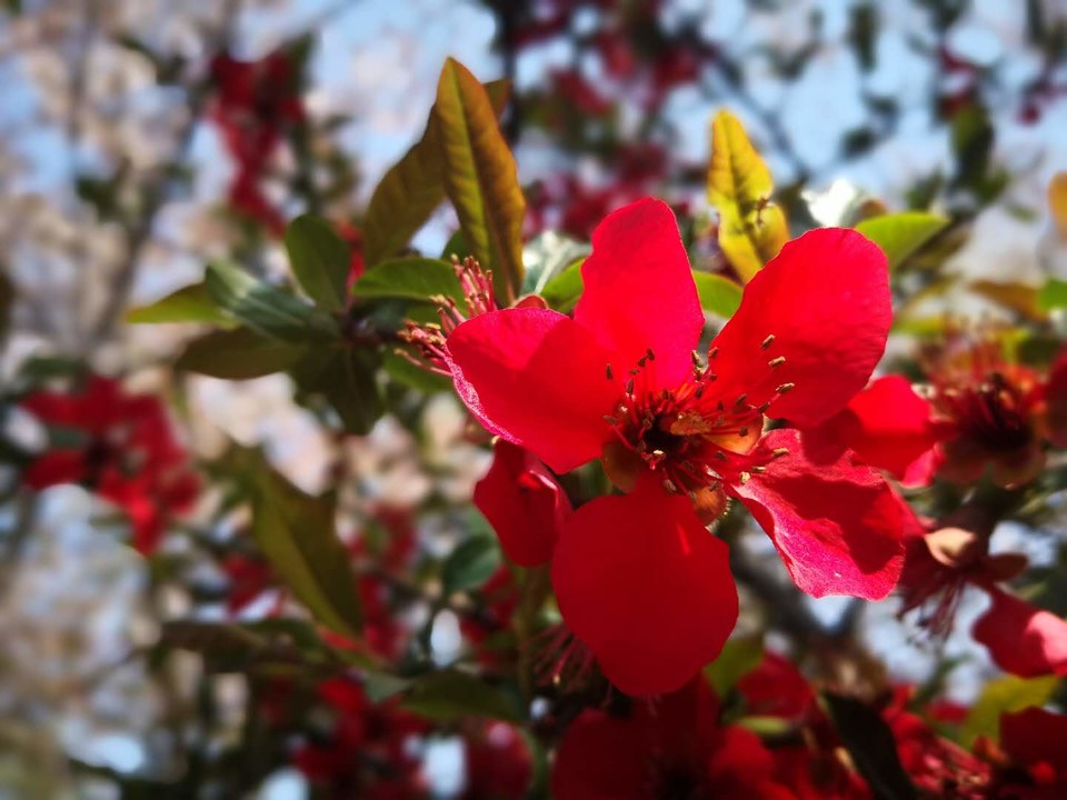 K1hsJ-JowqkzVDQFGL4OTW0LcthW2WAWQtjgtyU8D7CTpG91U0qbpw39WuCdvCko