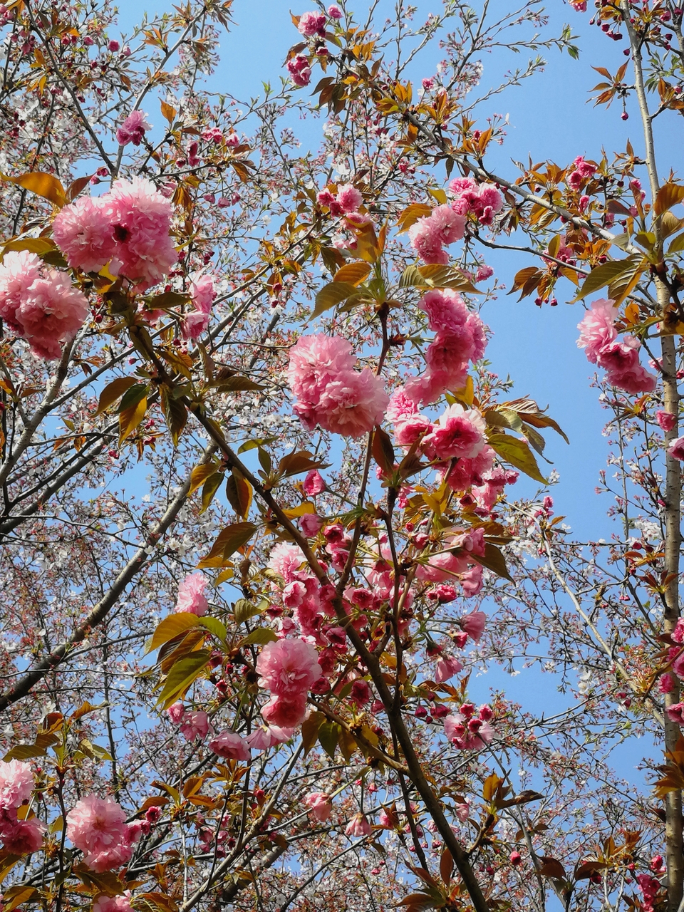 LdnIlh146aE0JpdrzZOtAvUeFpaEvm-VdA_wBIqdvZ9bDhFF3EYi9dGjGNy1srPz