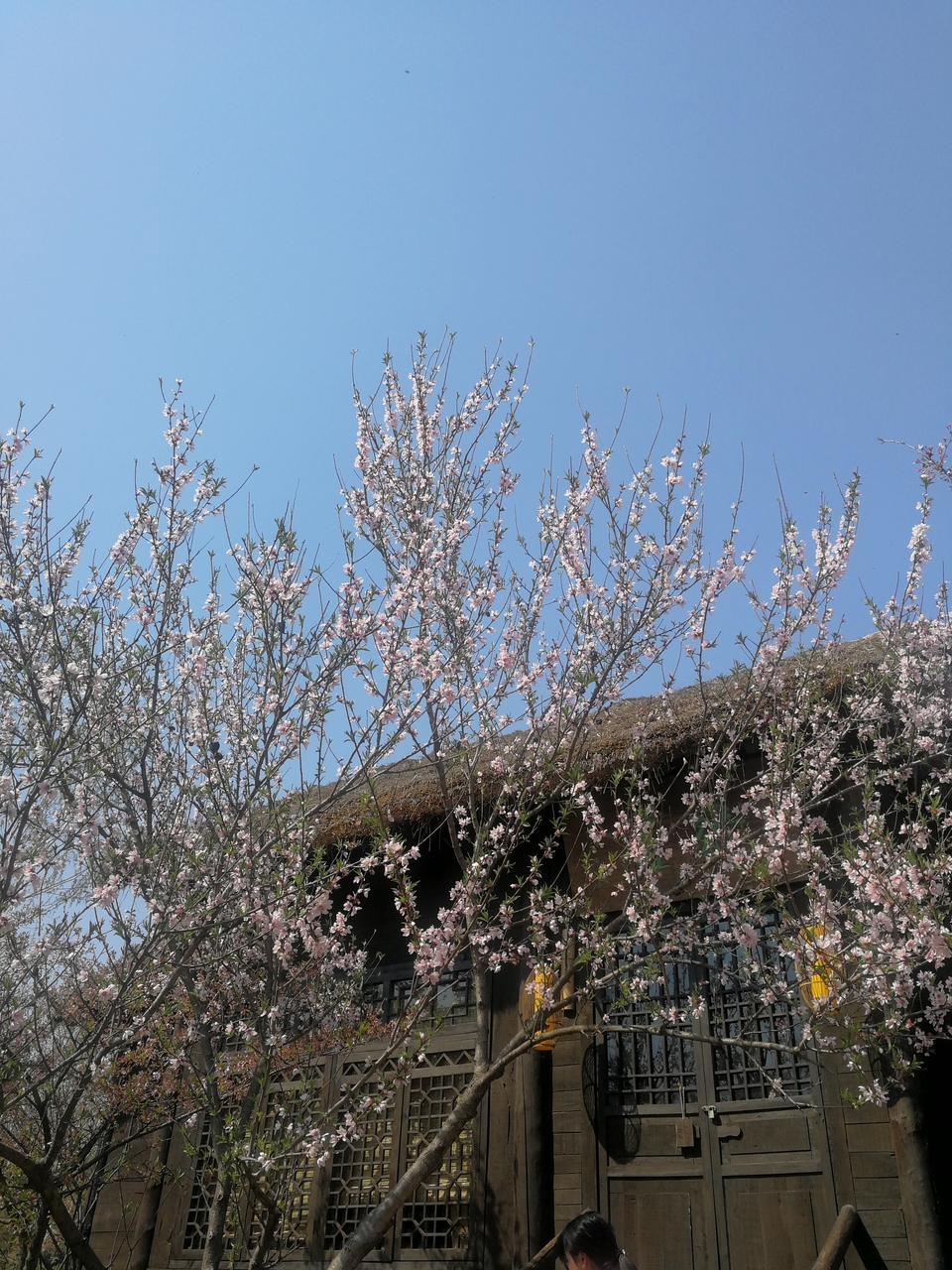 RIgd2oJiXs8MGno4lcvNniGE3hN4pY64_0RQbWGVMWyNXRqcIhn0Nr8DTMNT_8f_