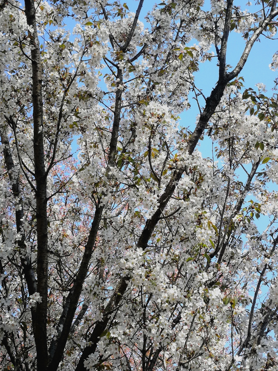 lto1vh4Cs2kQvu4QrwY61g67i-8O48Q8K2xsGxsspk6kFi3yf09fZ-0LadR9IhiE