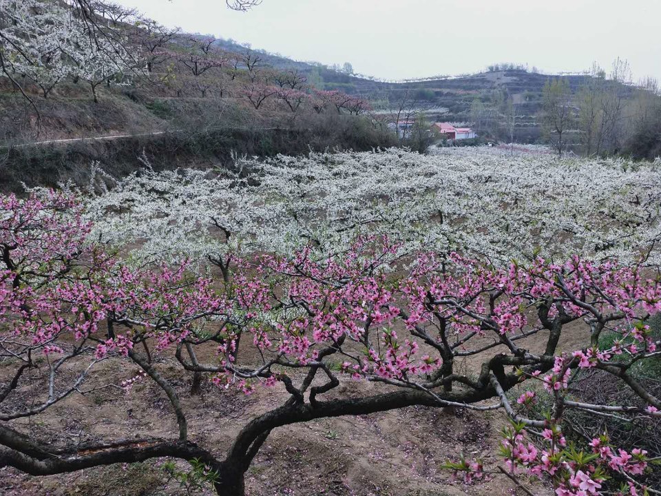 f6695Qzc41ELK9DM6FBeuQQaDv-YKjqP6VMrUtlaZesQ9YvdDmbYGzCg3a2j04LW