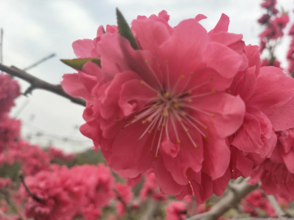 NpsdvjsiGOwjIF9sH8_9dnoCDfJP7cjTarBlYZY0Kd_L5Zy541EUDShrAZe_4YjC