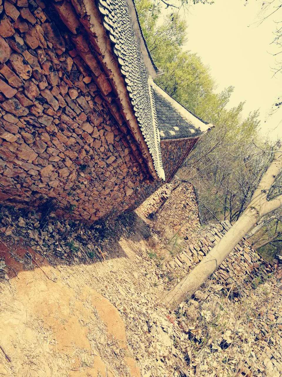 9lYY_pSN3XK1J9DOEZ3JLih2Si_n2lRe9mnHfRWJpqm5yw0IX_siwuL1OteNsjQB