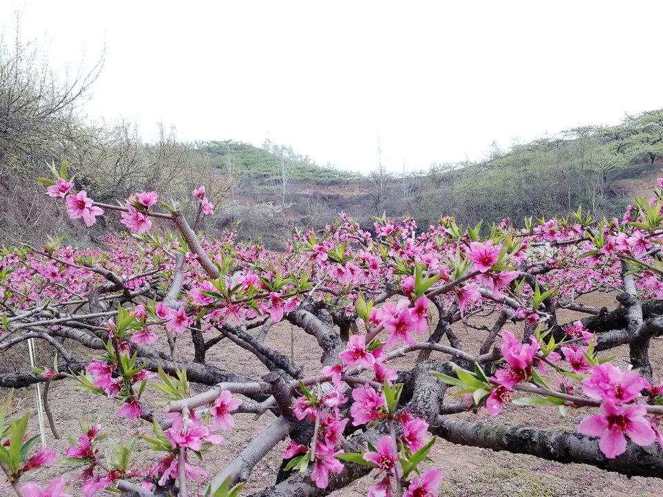 F2olMvOuJiRbY26XWfV2dAVkQ1JpBQmykqcWa1Hn9ol_JGaSdNrNZBs-x0f2gysU