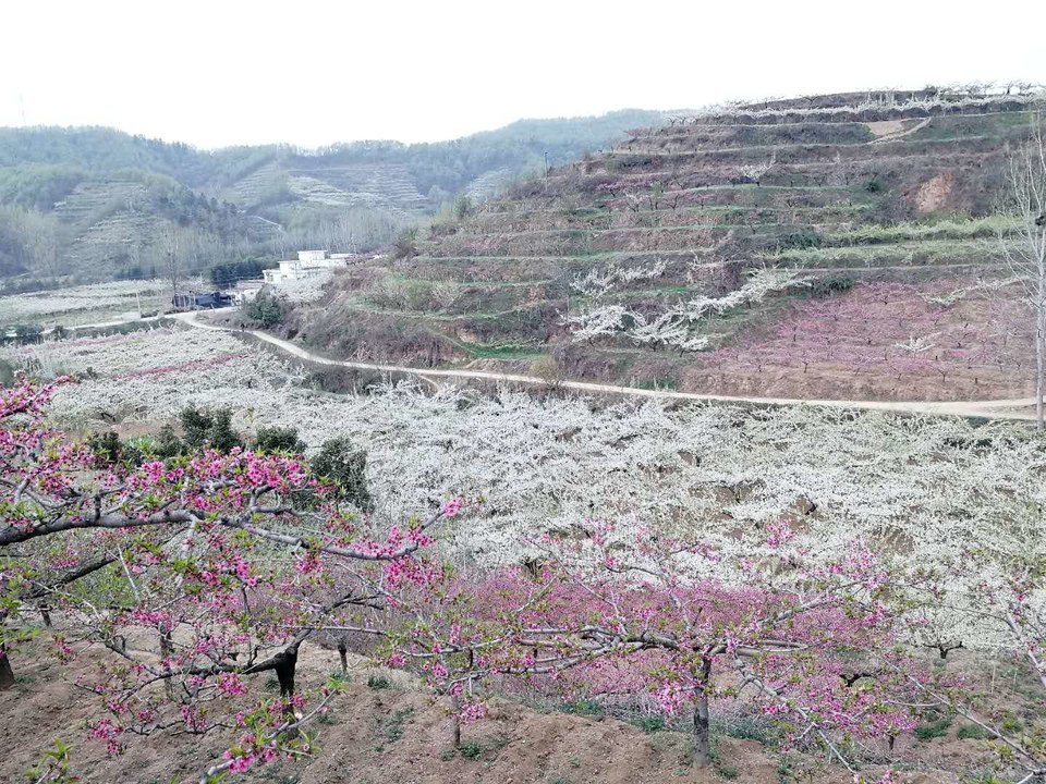 J2NJHacXAs5LB1ZdNyvFjRIsssQtcWtfTU9hunK-elOxfxBHtlCfJw5fN9LvAU1A