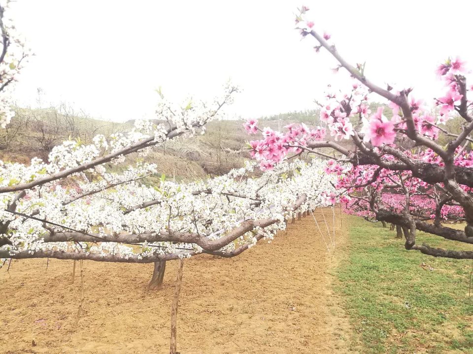 JiY-KWBW1eK-YOiauVYLVisyDBThwhUzb4_ZoztMDoaHXiXHZKURgawz3SS09VpY