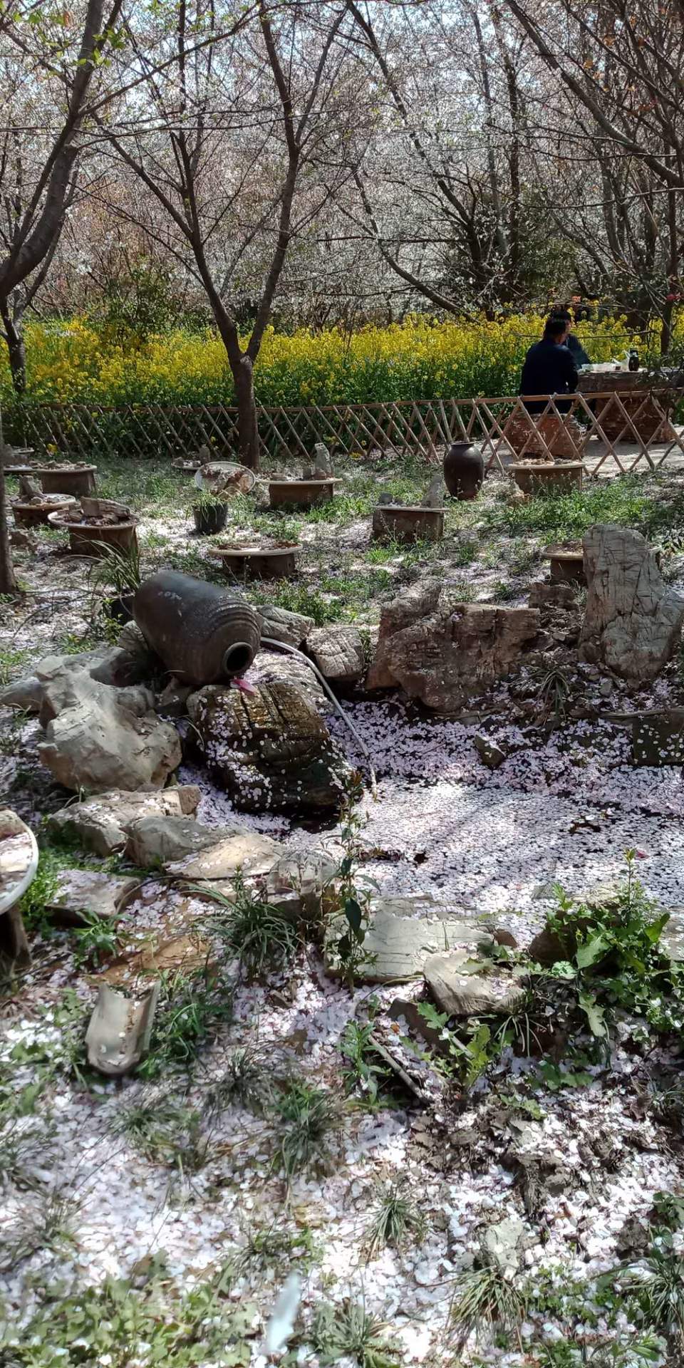 KqZwY7OI8QAvFDUSSmnoQIy4Y3faOLE9Oi949U3liPZL-tP_JeR_v4X7paoGf-c4